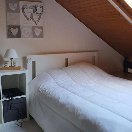 Duplex Cocooning Avec Vue Lac Et Montagnes Savines Esterno foto